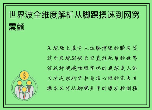 世界波全维度解析从脚踝摆速到网窝震颤